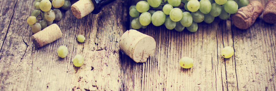 Wein Trauben Agentur Italia